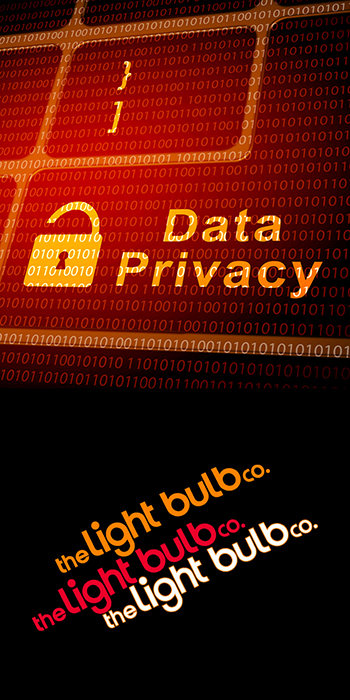 Data Privacy image
